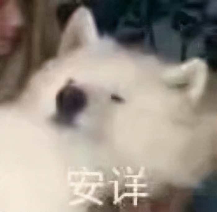 高校教师跳槽到单位好吗,高校教师跳槽