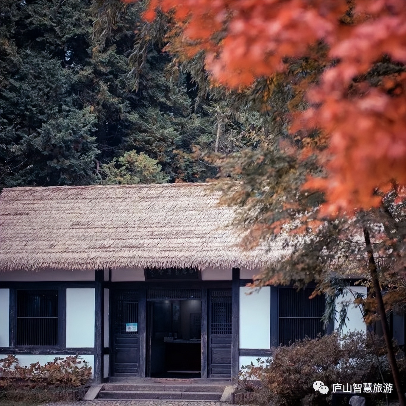 庐山旅游活动,中国旅游互动体验