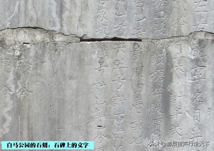 白马公园白马石刻朝代,公园石刻精品欣赏