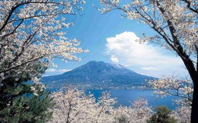 日本最盛产烧酒的岛屿，最知名的却是中国名称，深深感到自豪！