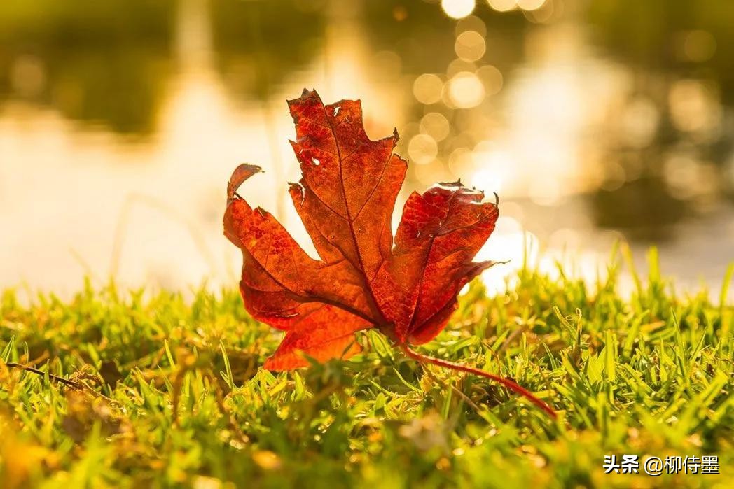 拍照不好看只要学会这些小技巧,摄影大师教你拍照技巧