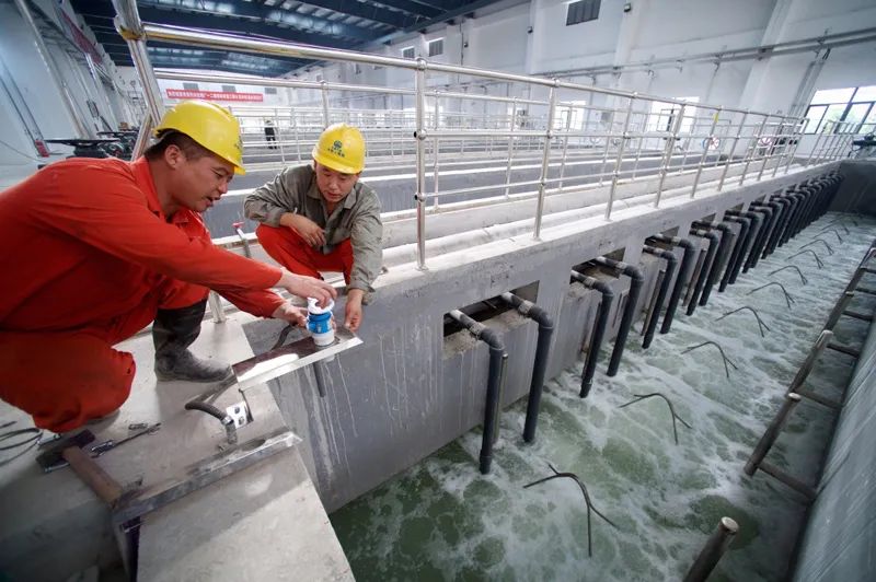 从明天起什么新规会影响你的生活,这些新规将影响你我生活