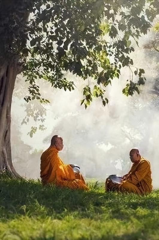 随缘不攀缘南怀瑾,什么叫随缘是缘