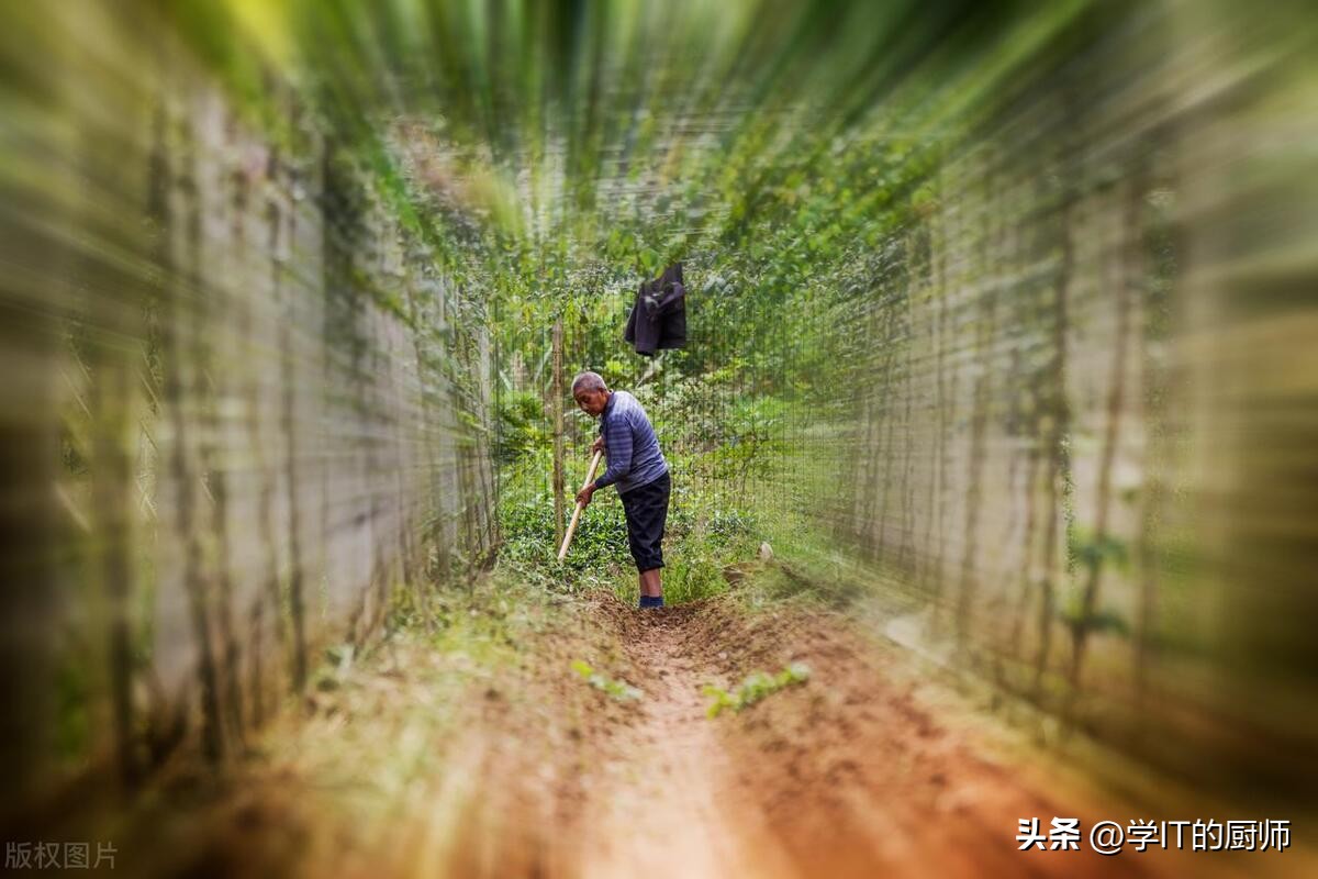 农村奇迹！八月炸：一年收入破百万，谁说农业不赚钱？