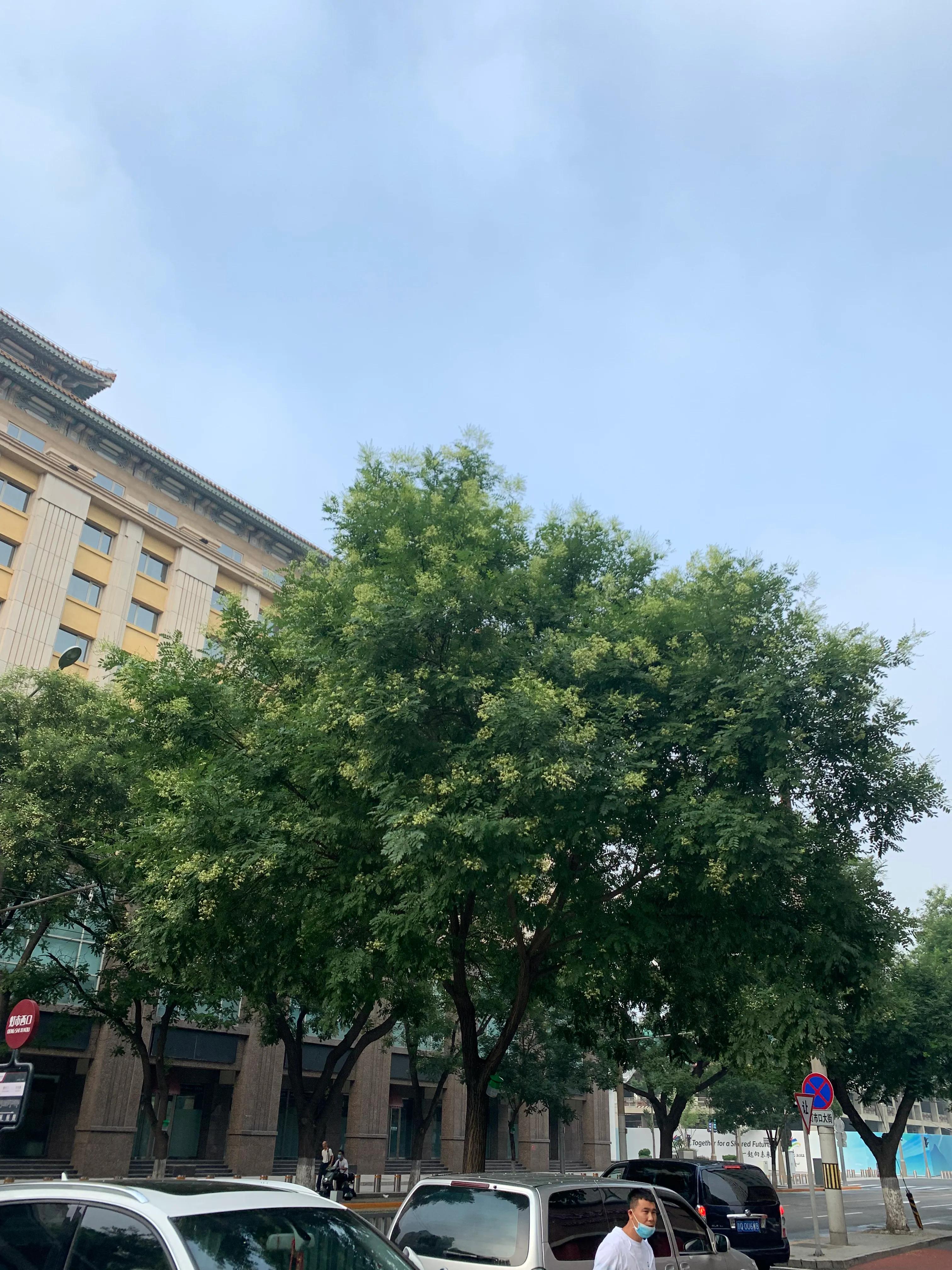 北京游玩攻略注意事项,北京旅游真不容易去