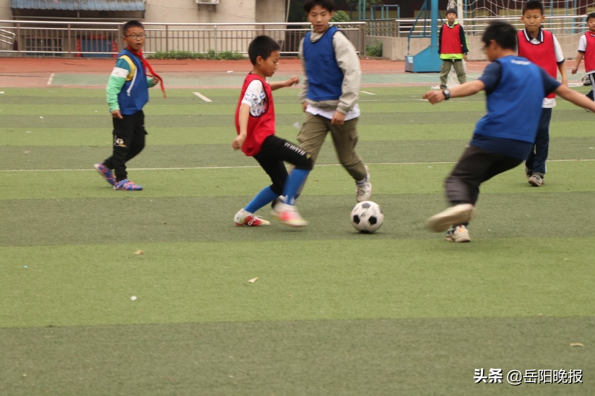 双减活动下的校园活动,双减活动下的校园活动六年级