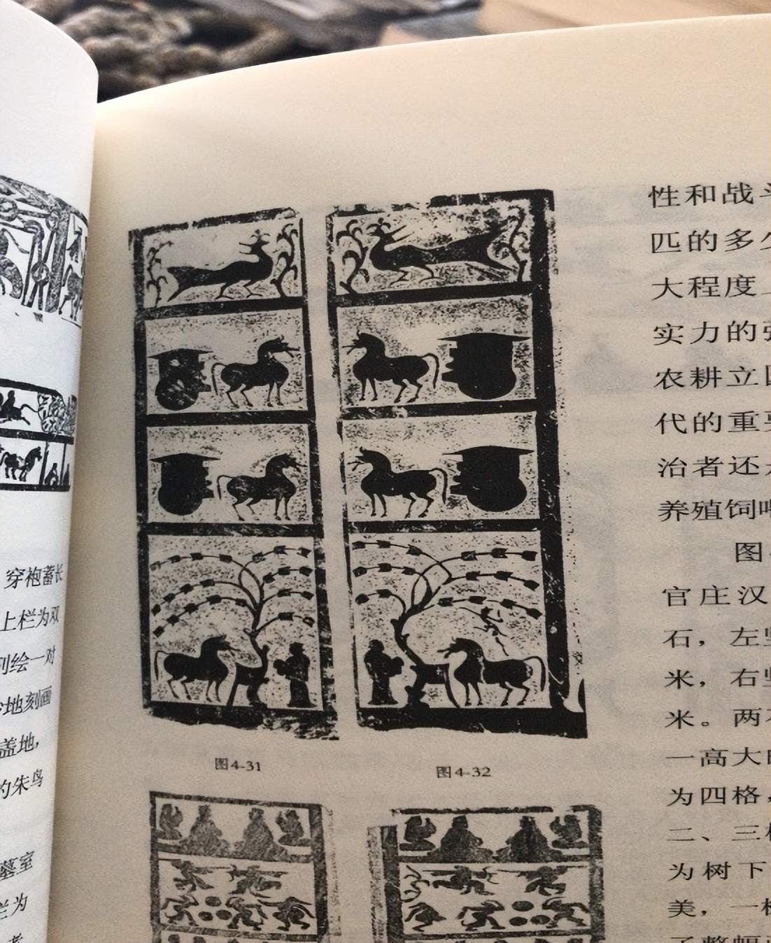 人类起源新说,人类起源新论完整版