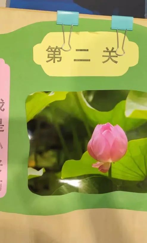 小学关爱学生幸福成长,小学低年级期末无纸测试活动