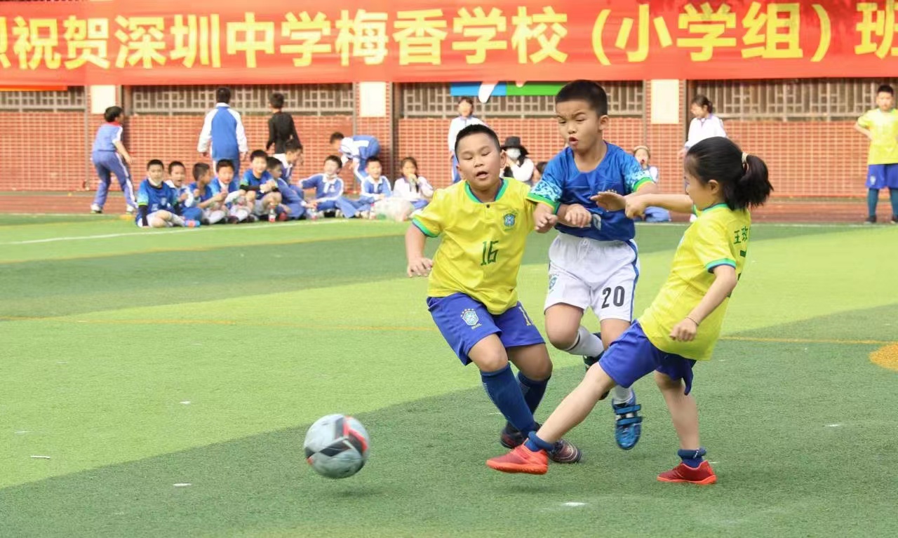 宝剑锋从磨砺出梅花香自苦寒来为“梅香杯”点赞