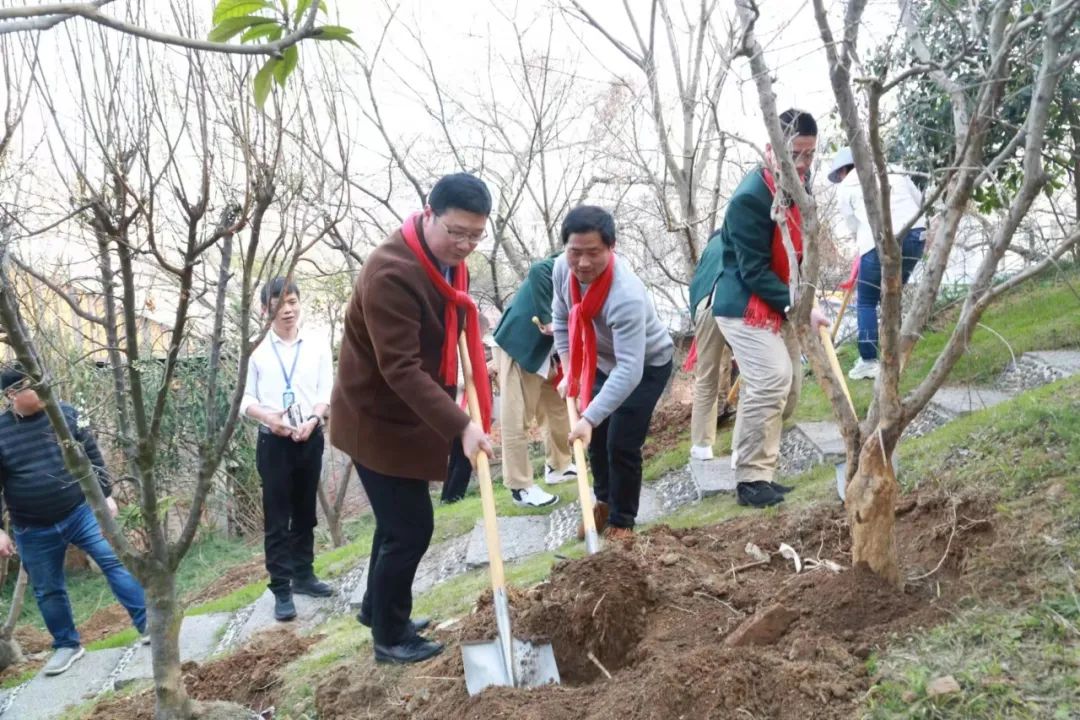 一句话总结南京高校,三句话赞美学校