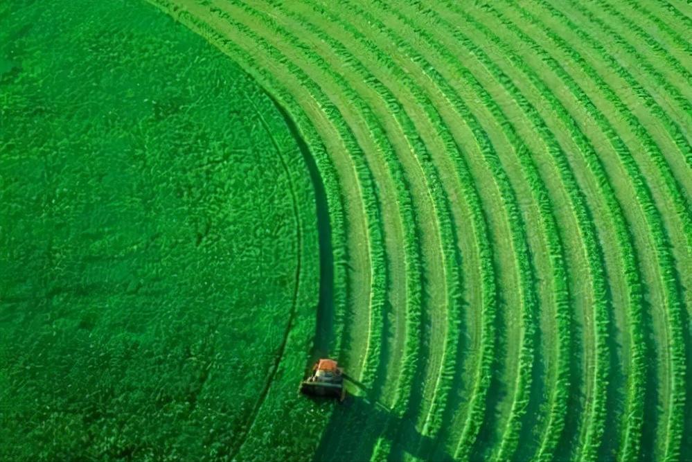 俄罗斯最硬核图片,俄罗斯十大惊人细节