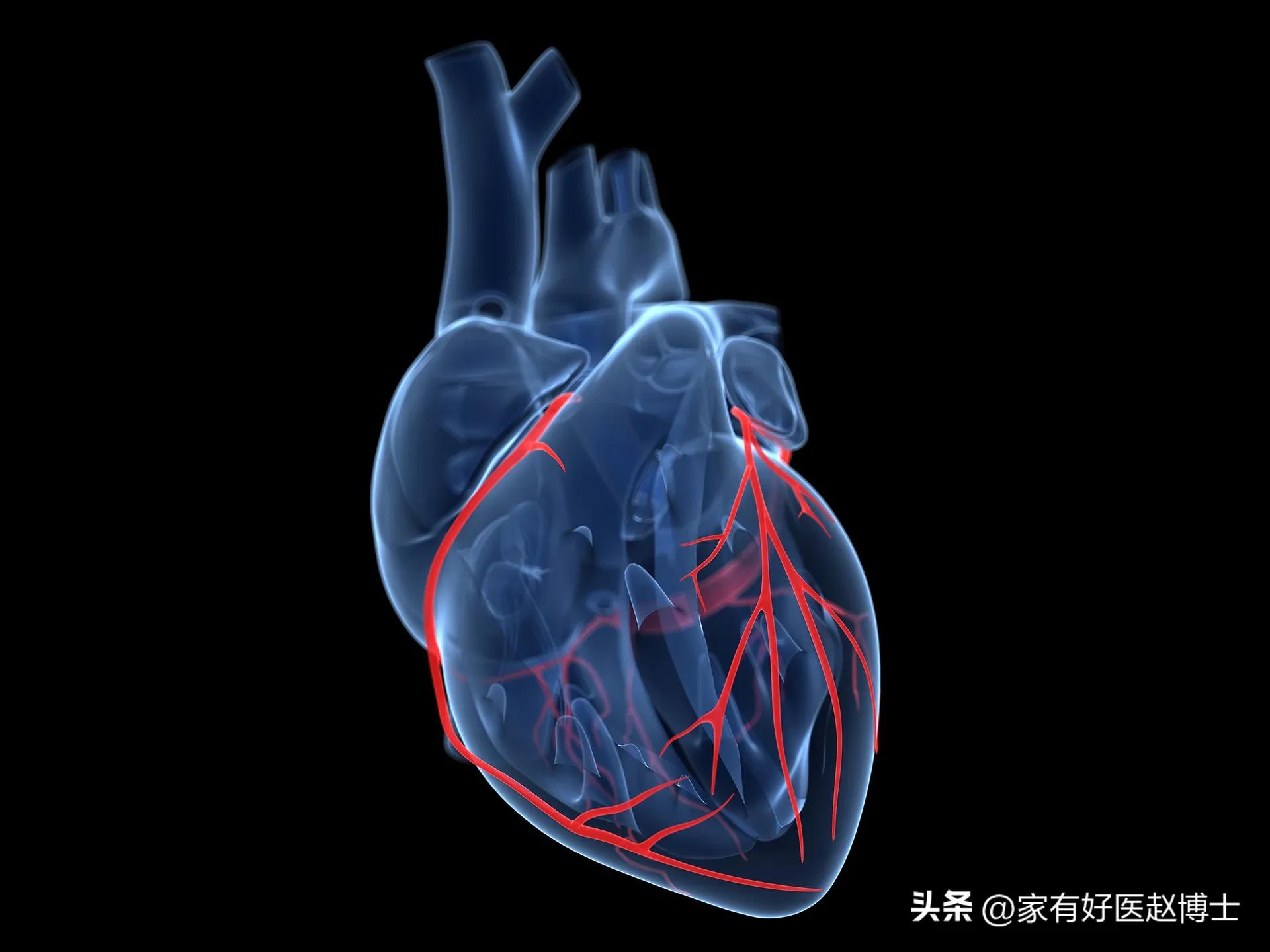 冠心病的预防与控制的重点是,冠心病合理用药解读