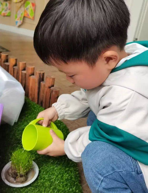 你好，草娃娃！——庆安乐儿堡幼儿园小二班课程故事