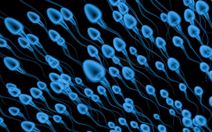 进入女性体内后，没“受精”成功的精子都去哪儿了？既好笑又心疼