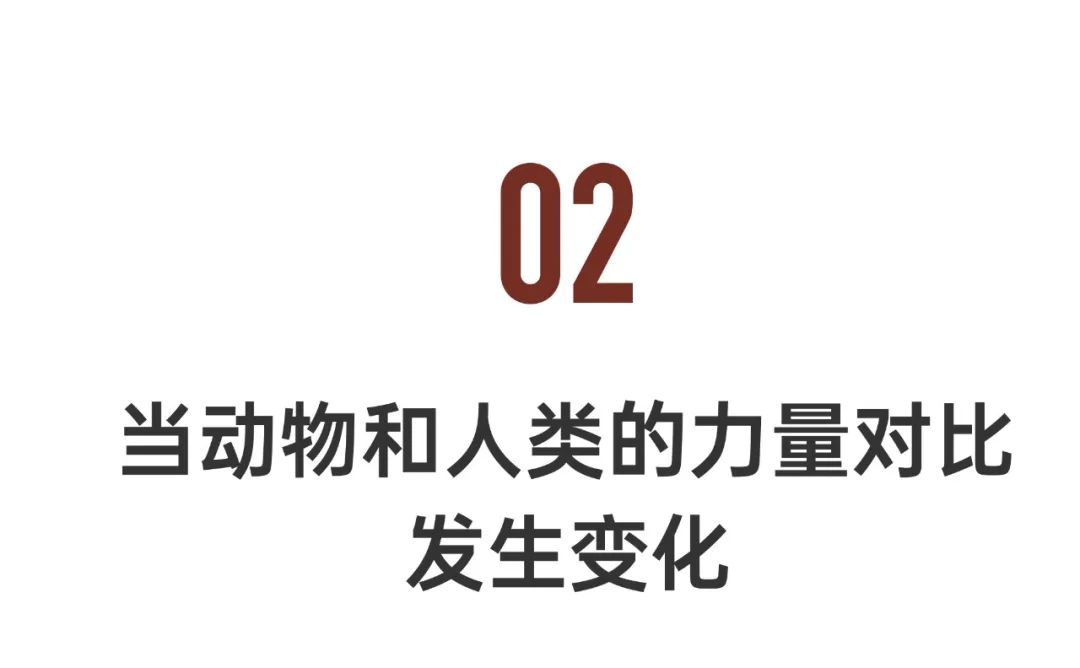 中国人冒死拍的纪录片,一群中国人冒死拍摄