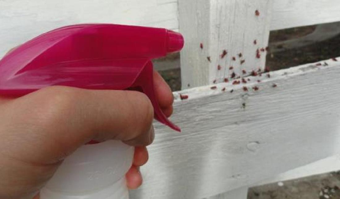 老人脸上出现疤痕发痒怎么回事,老人脸上长黑结痂痒怎么治