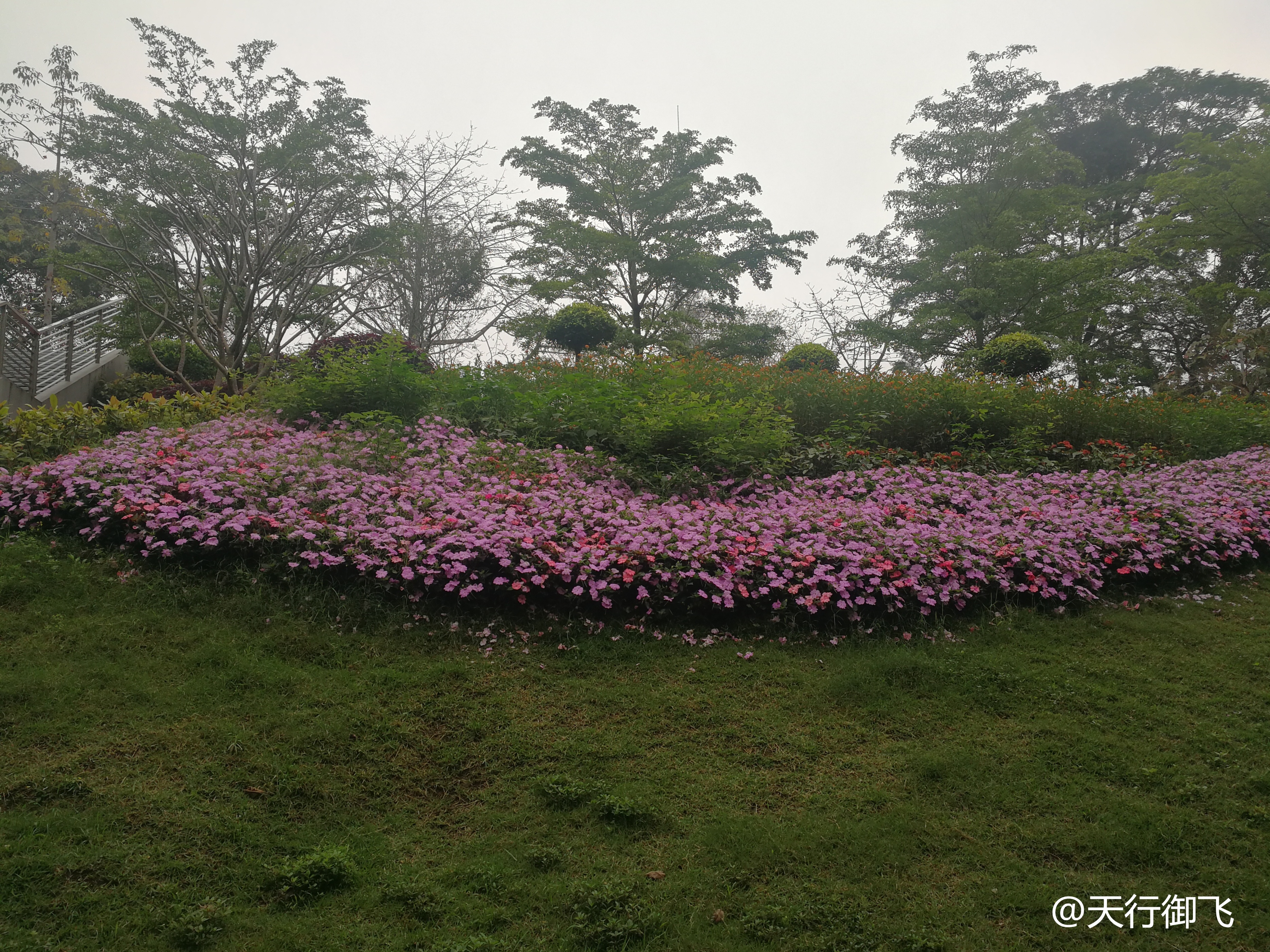 越秀公园游览最佳顺序,广州越秀公园旅游线路图