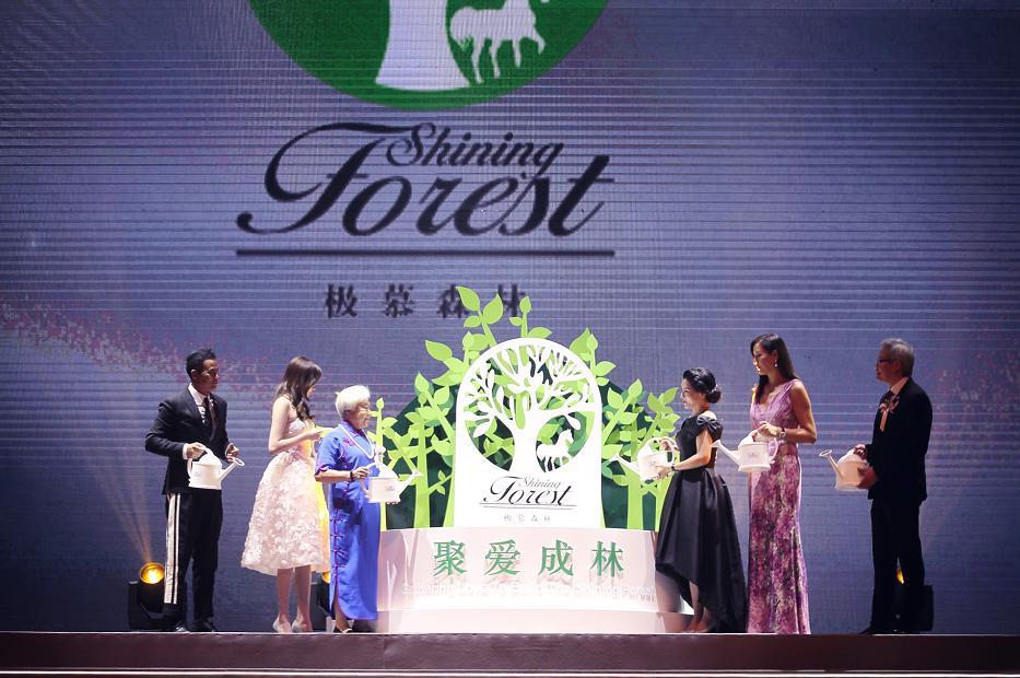 钻石世家品牌,钻石世家20周年盛典极慕爱之夜