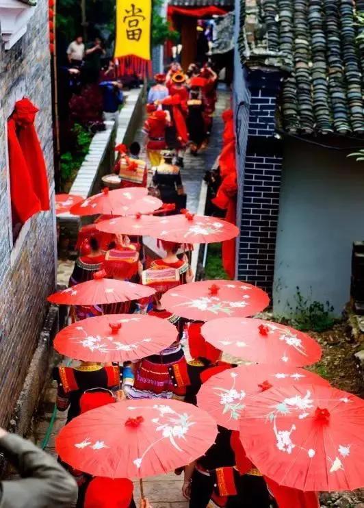 现代诗游弋的鱼,鱼的优美现代诗