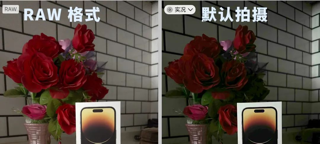 iPhone拍照比专业单反还强大？！ProRAW格式真的太强了