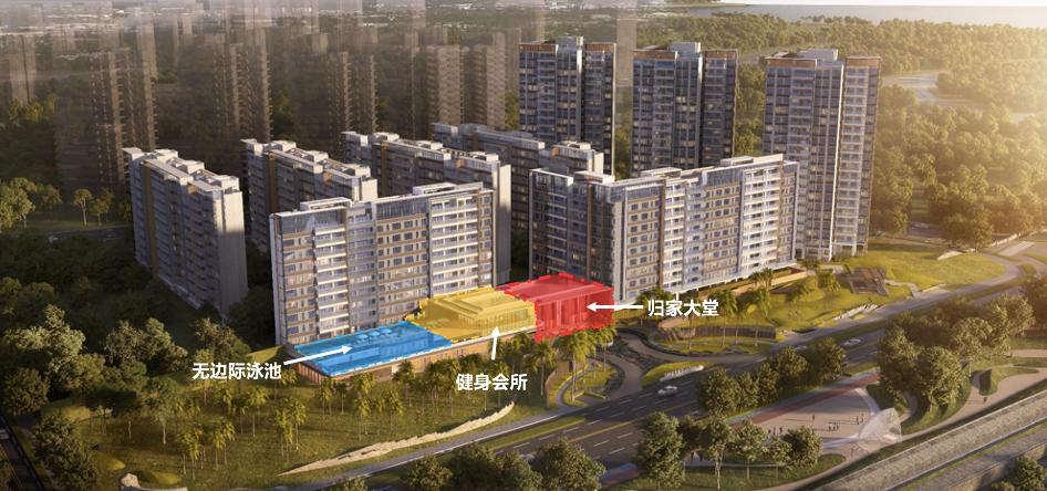 狂喜！名校+一线亲海，你要的海居范本来了