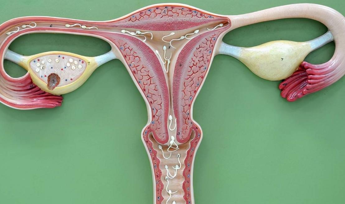 女性没了子宫，会影响“行事”？医生坦言：满意度反而提高了