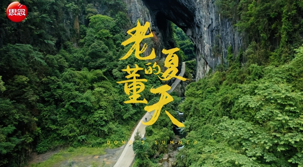 思念食品：粽叶产业链延伸升级，赋能乡村振兴