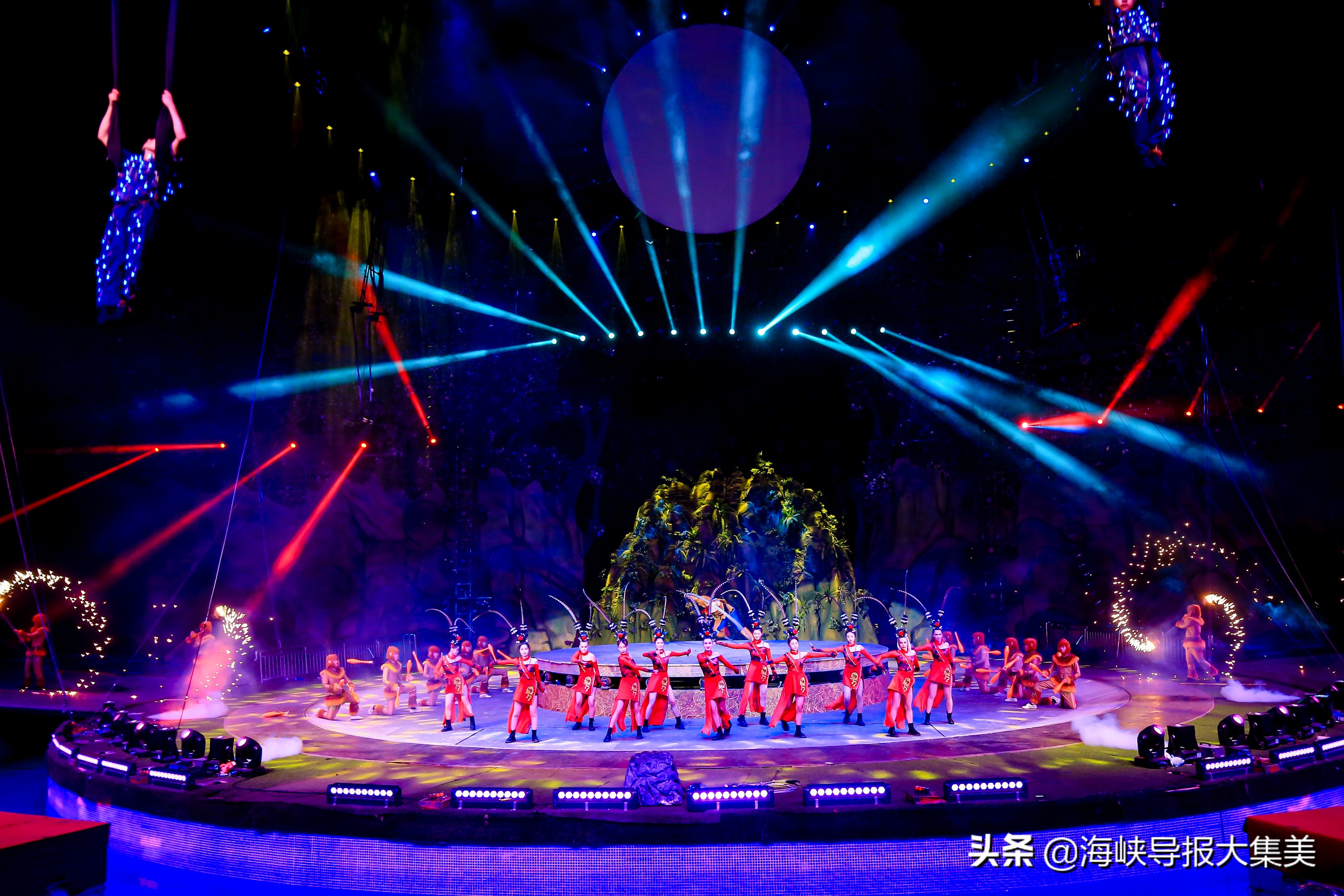 灵玲国际马戏团求婚,灵玲国际马戏团队