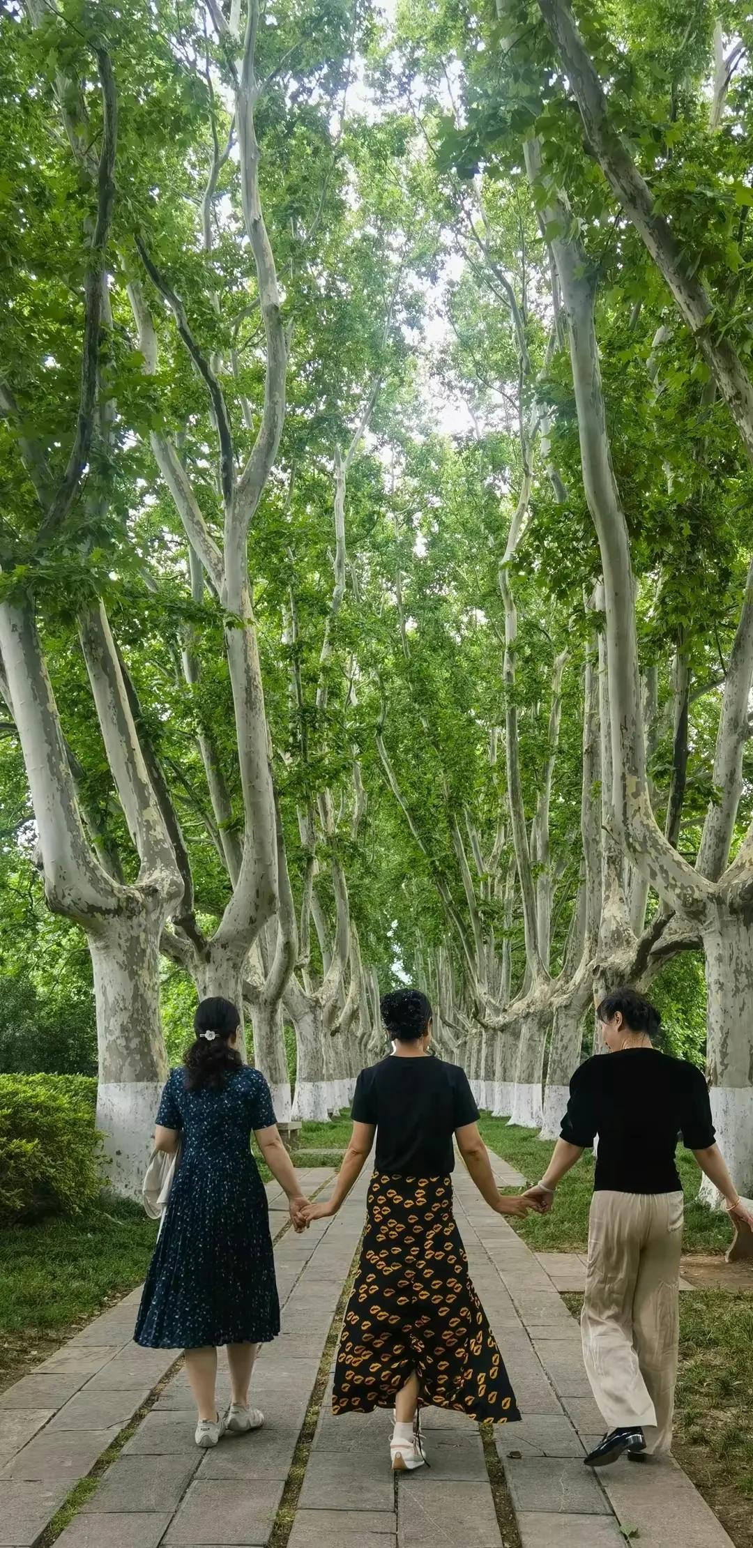 南京旅游攻略最详细攻略,南京旅游自由行详细攻略