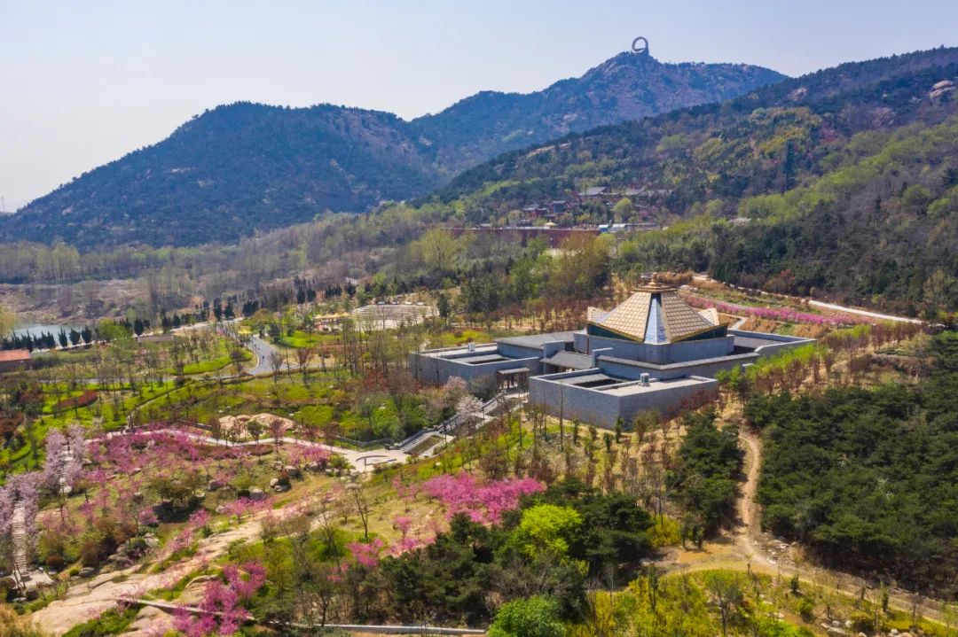 有山有海有人文，将家安在景区里丨日照东方*阳城太**