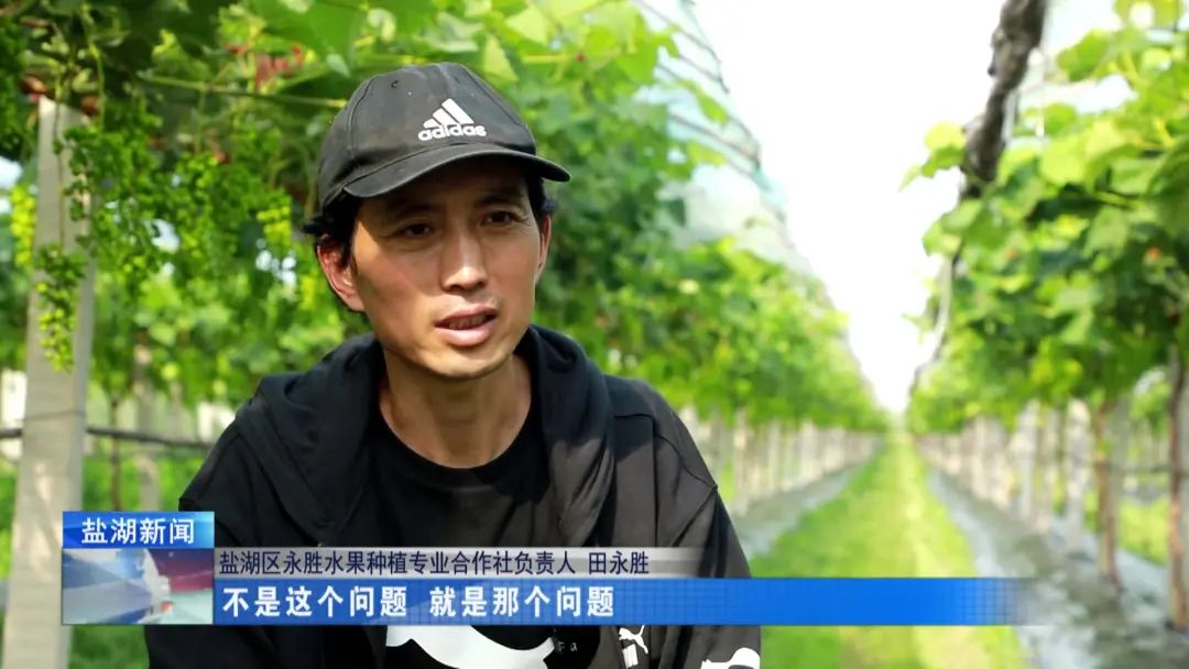 田永胜:小葡萄“串”起致富路