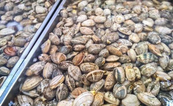 新品尝鲜了：女作者的新书佳作，口碑反馈都不错