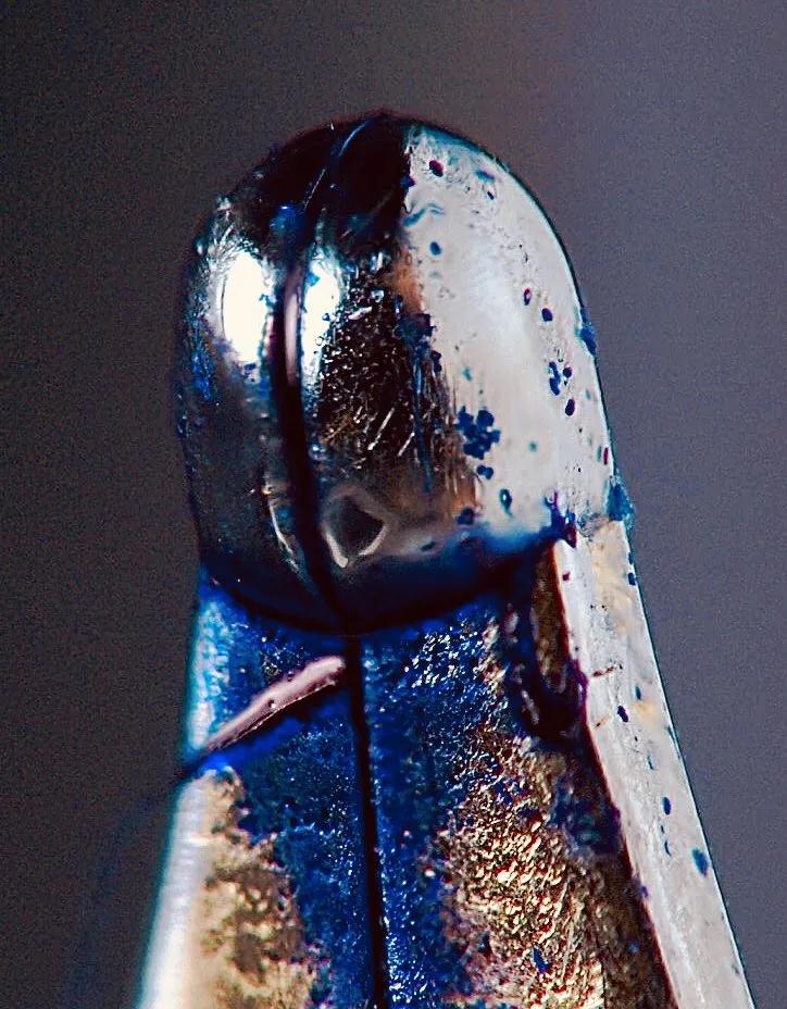 手指在显微镜下太恐怖了,显微镜下的恐怖世界蝎子