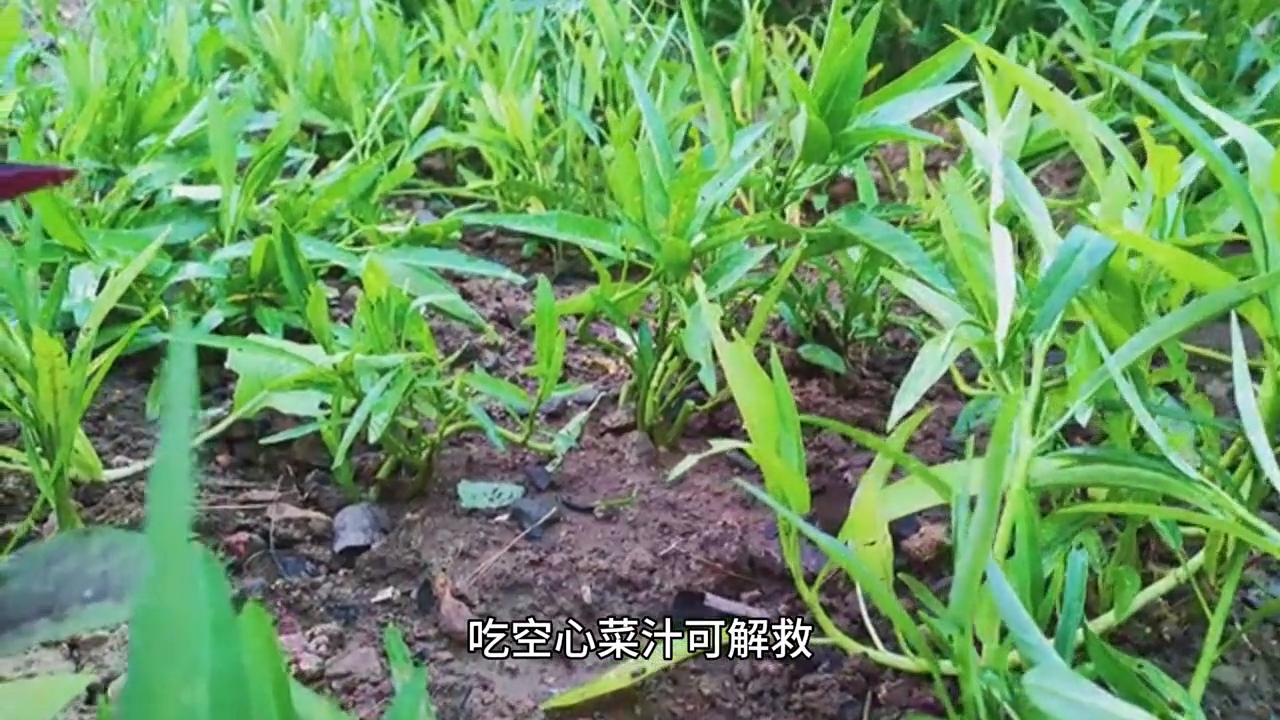 防食物中毒正确做法,防食物中毒安全教育