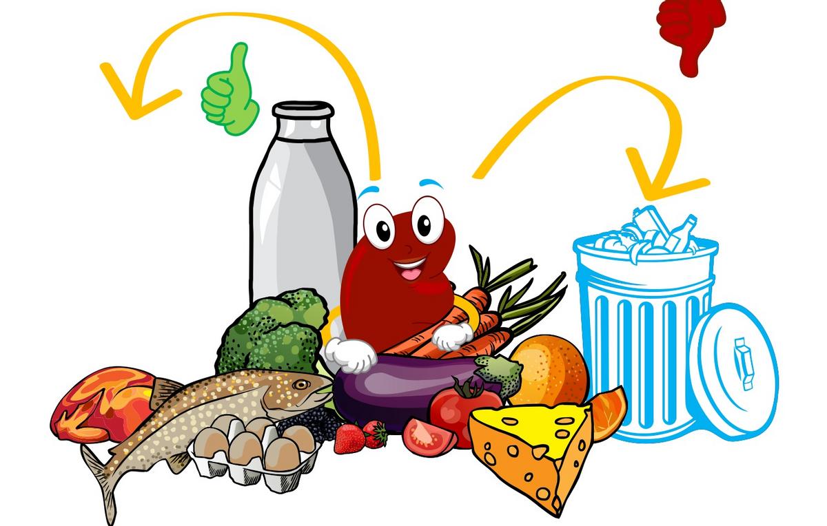 有利于肾恢复的食物,有利于肾健康的食物是哪些