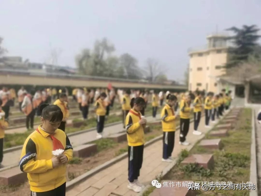 我们的节日清明主题活动情况汇报,我们的节日清明节活动开展情况