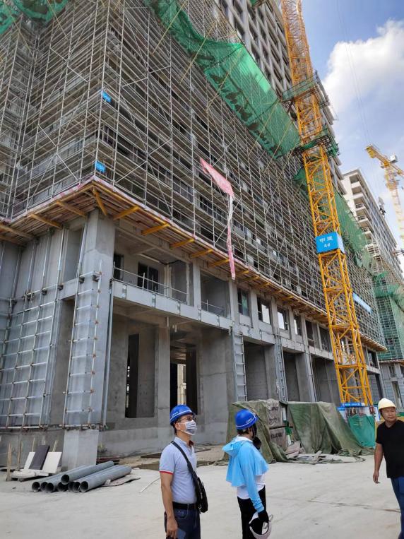 大宝漆艺术漆,大宝漆工程漆