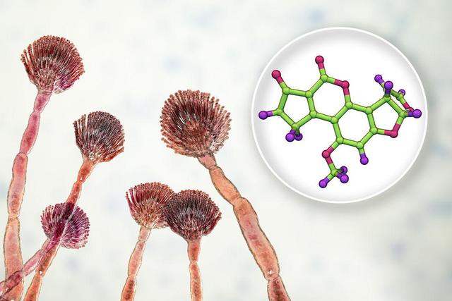家用大功率绞肉机安全注意事项,使用绞肉机安全提示