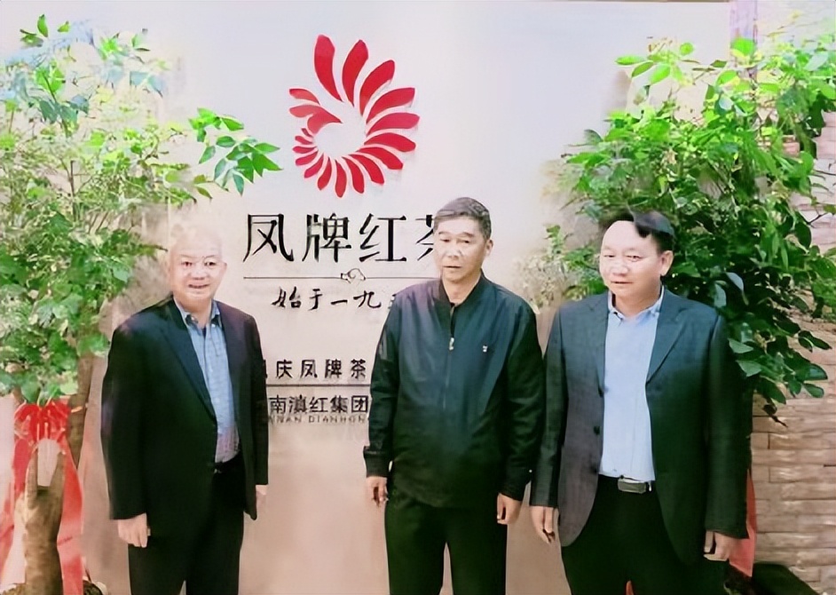 凤庆凤牌茶叶有限公司,凤庆茶叶发展历程图表