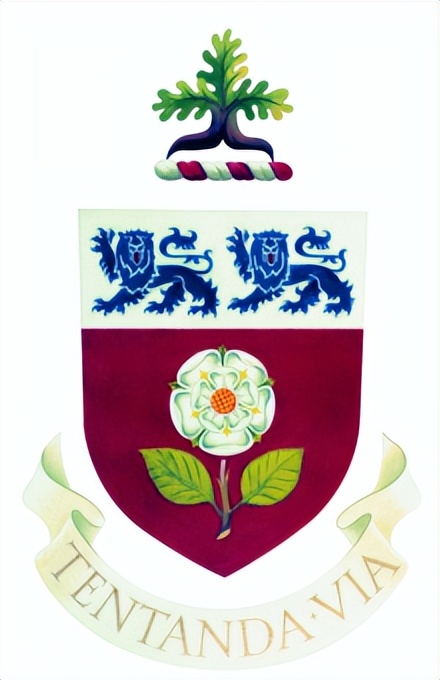 约克大学加拿大照片,约克大学加拿大的位置