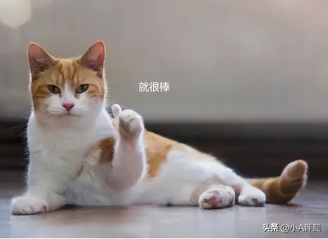 三星galaxys22系列发布时间,三星GalaxyS22发布价格