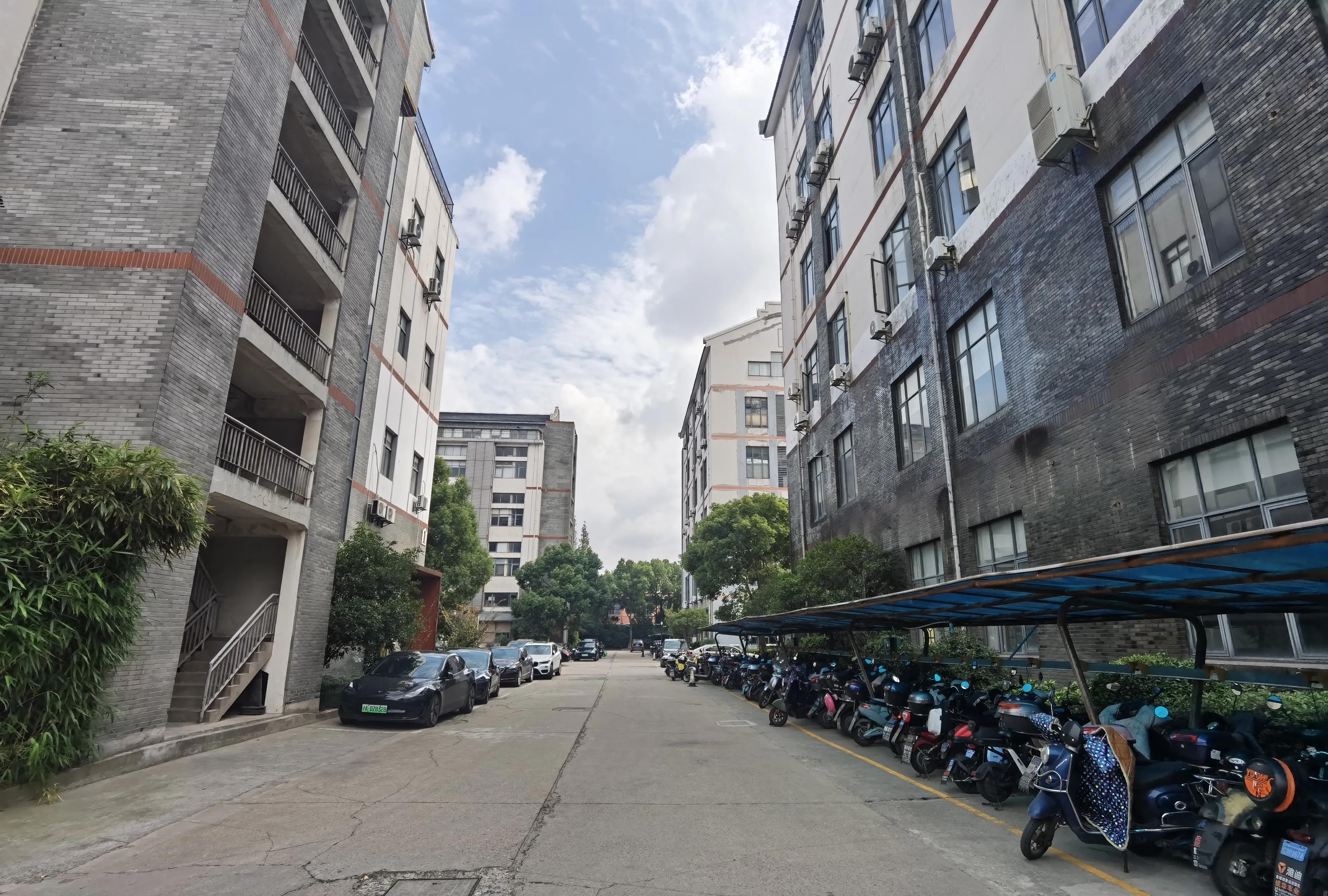 智汇园，巧遇汉服小姐姐，益生菌先驱养乐多，健肠长寿，上海宝山