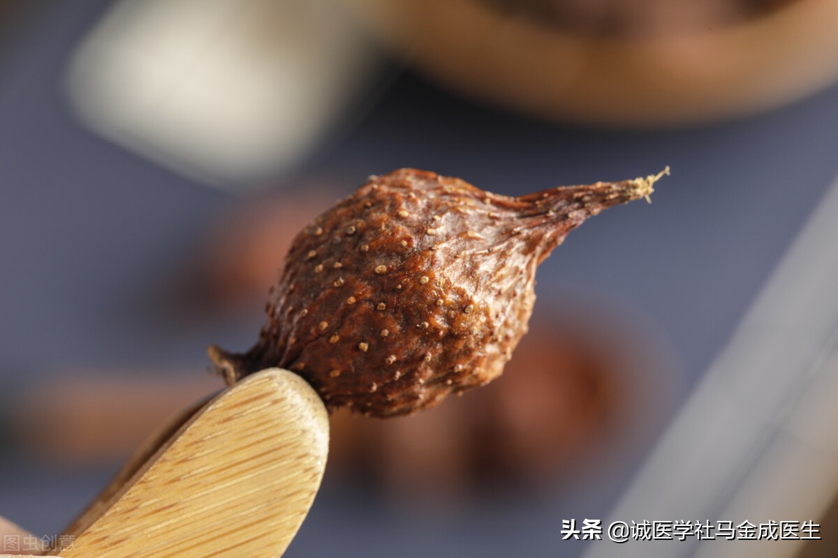 补肾气肾精固精药方,肾精亏虚一味药