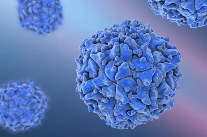 这四种癌症患者带瘤生存几率最大，中医经验总结，分享的全是干货