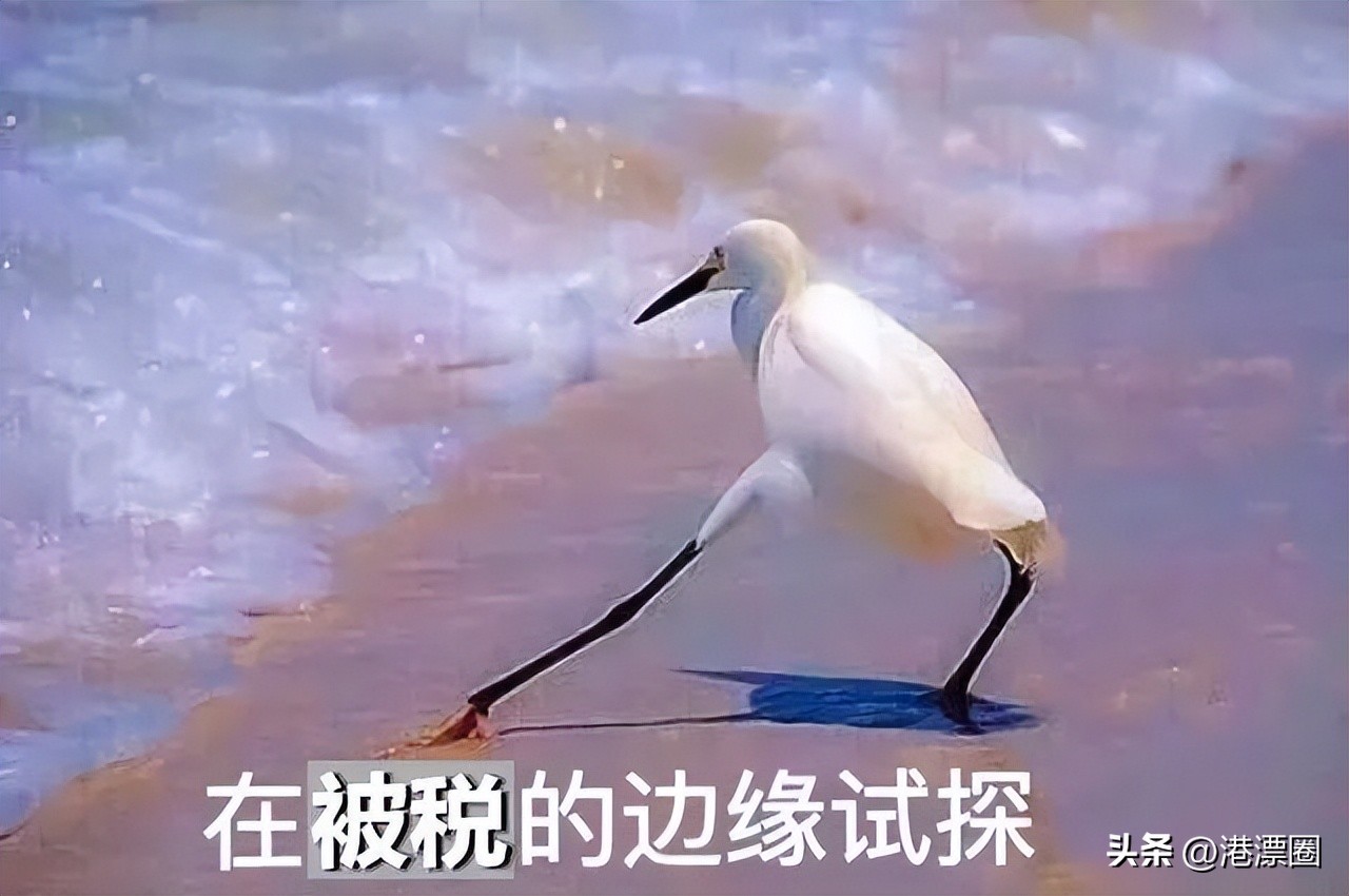 香港有什么好药可以带回来,香港回大陆可以带多少瓶药