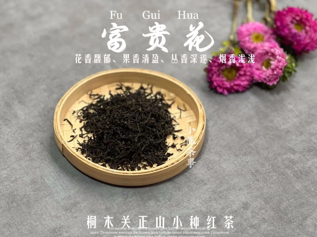 大红袍是什么茶铁观音茶是绿茶吗,大红袍属于什么茶是绿茶还是红茶