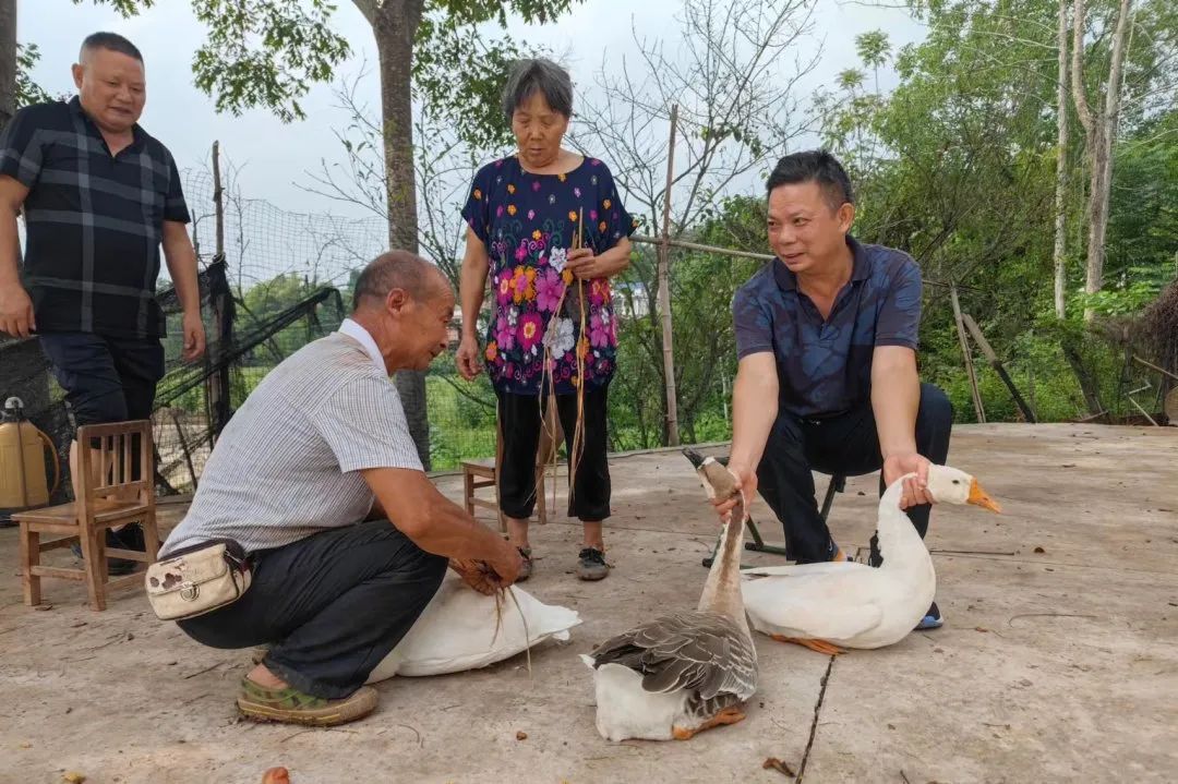 检察为民服务举措,安岳检察的微博视频