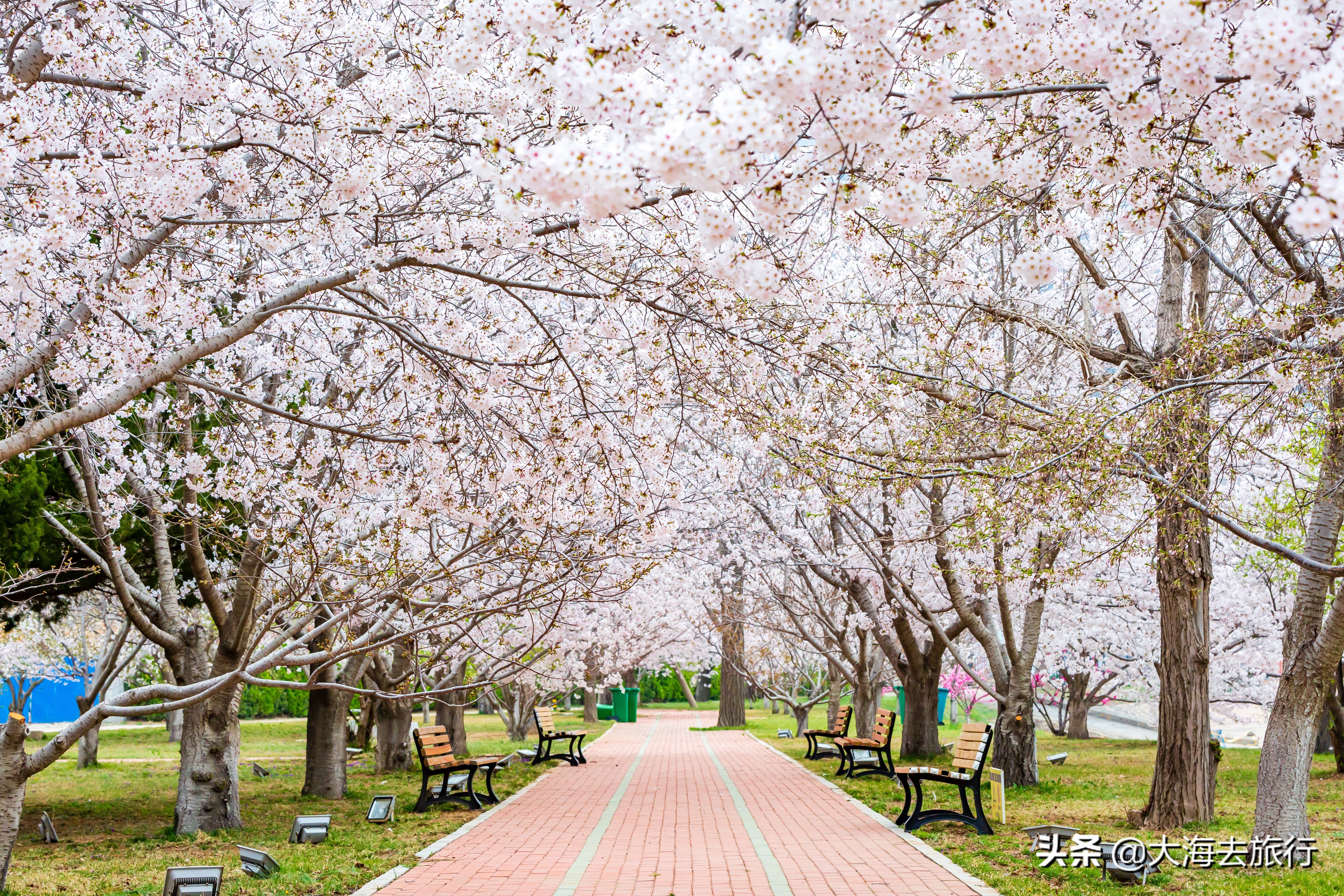 大连亲子游玩好去处,大连暑假亲子游攻略