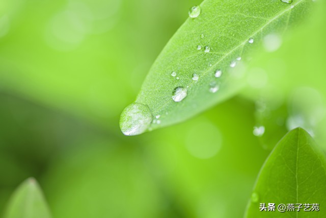 春深谷雨的七绝诗,七绝江南四月倒春寒