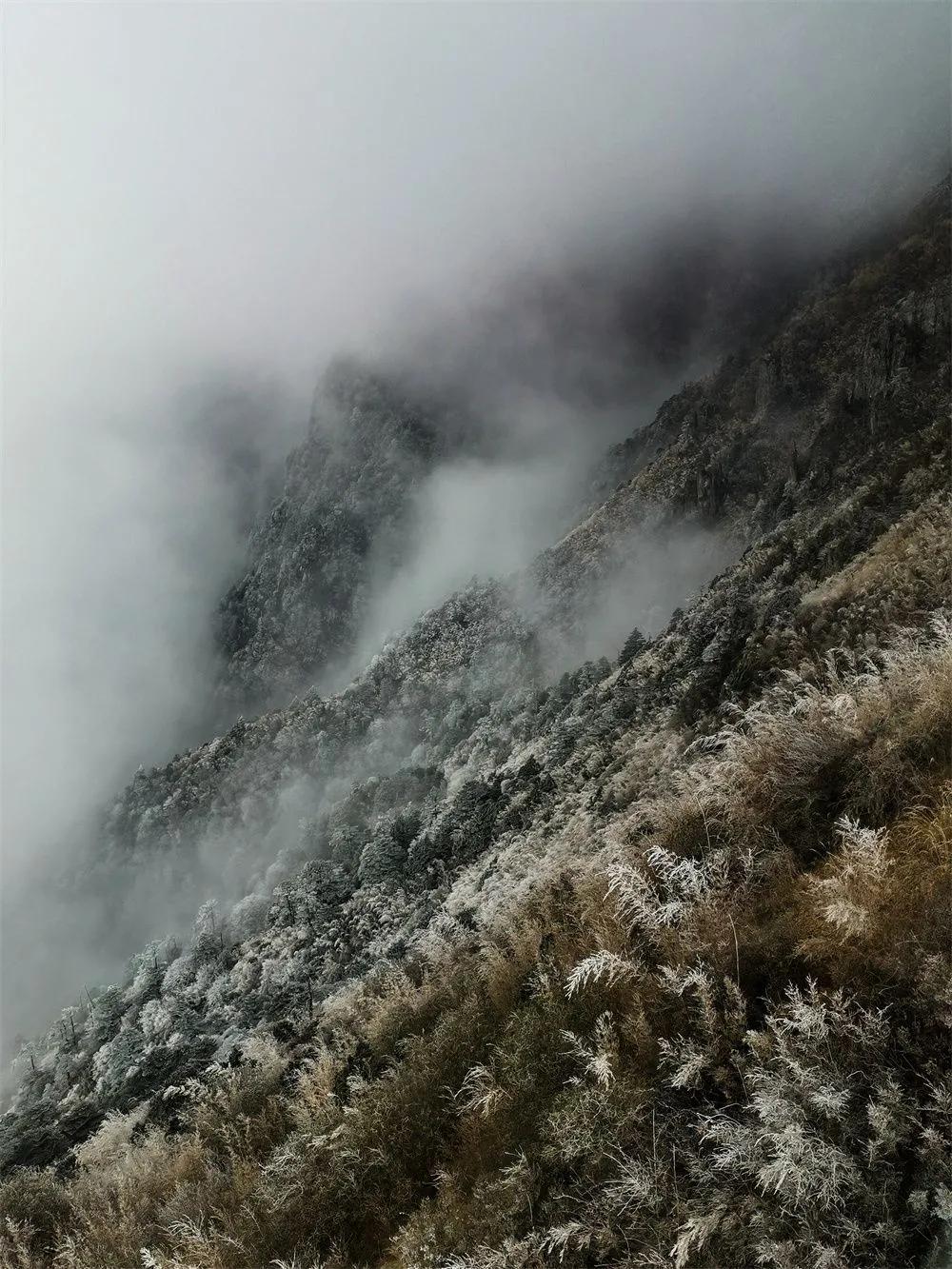 有一种生活叫大理的含义,有一种生活叫大理图片